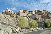 Ladakh - Shey palace 